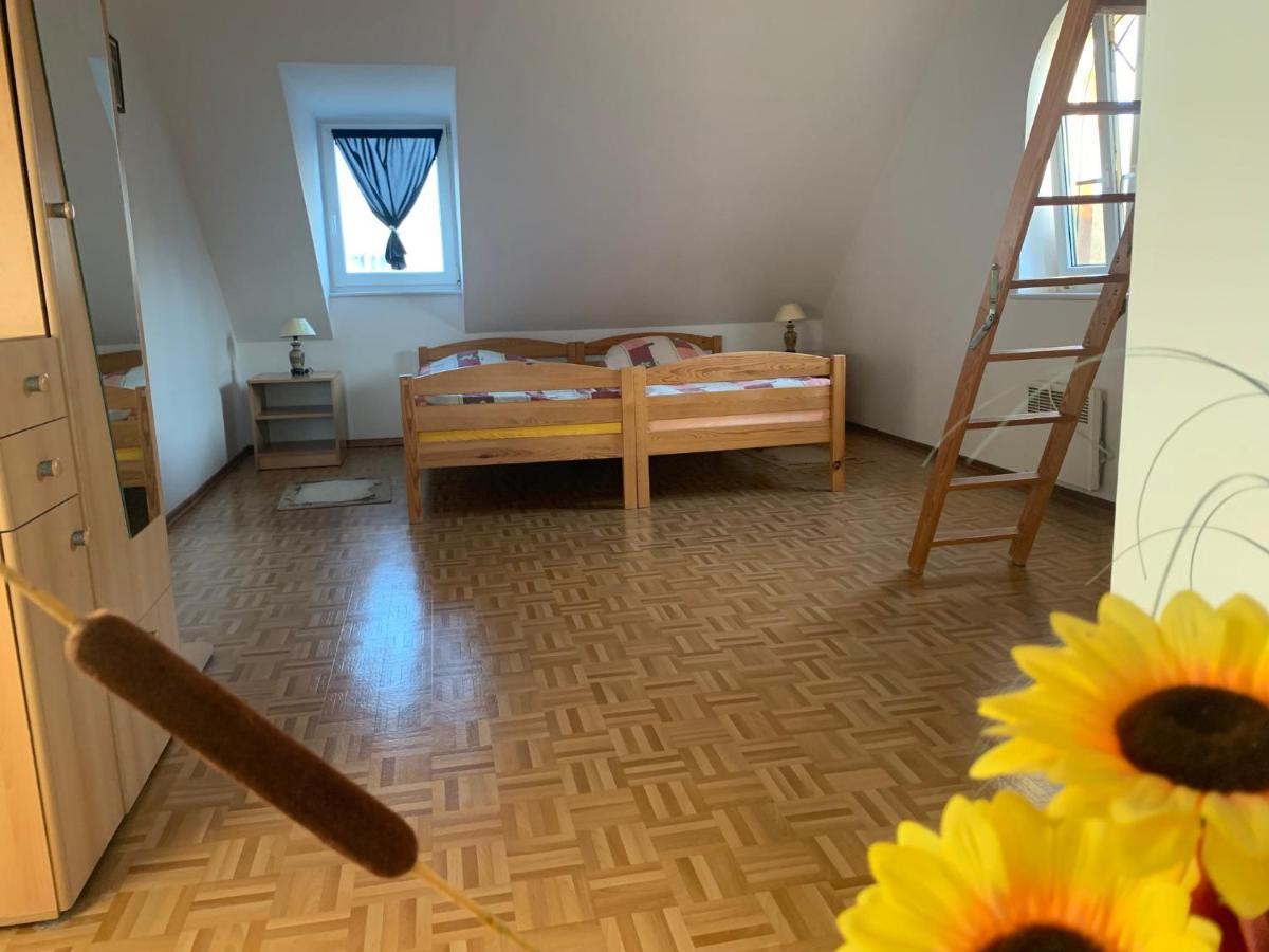 Apartamenty Na Kaszubach Nad Stawem Dziemiany Ngoại thất bức ảnh